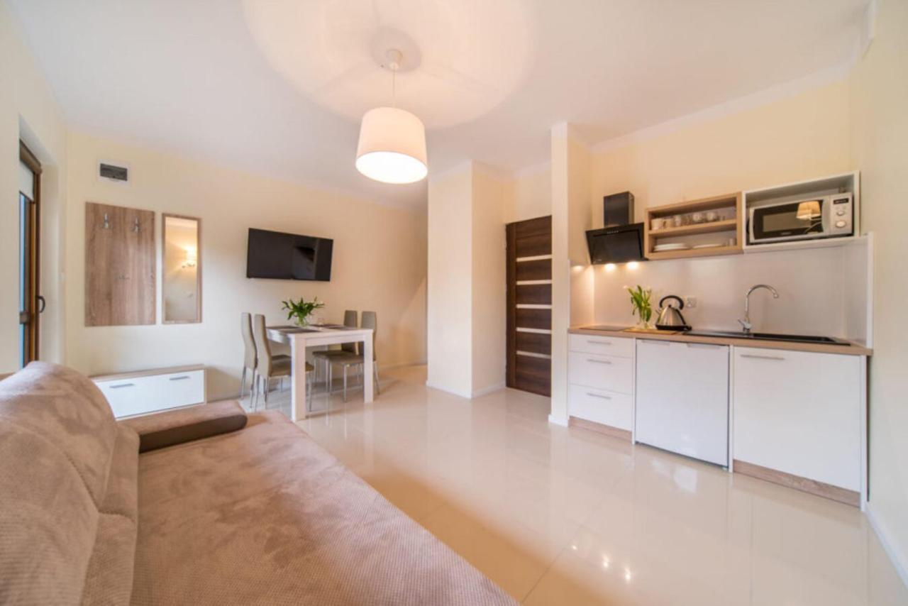 Gray House Apartamenty دجيفنوفيك المظهر الخارجي الصورة